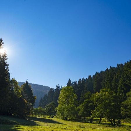 The Conscious Farmer Bed&Breakfast Sauerland Willingen  Exterior foto
