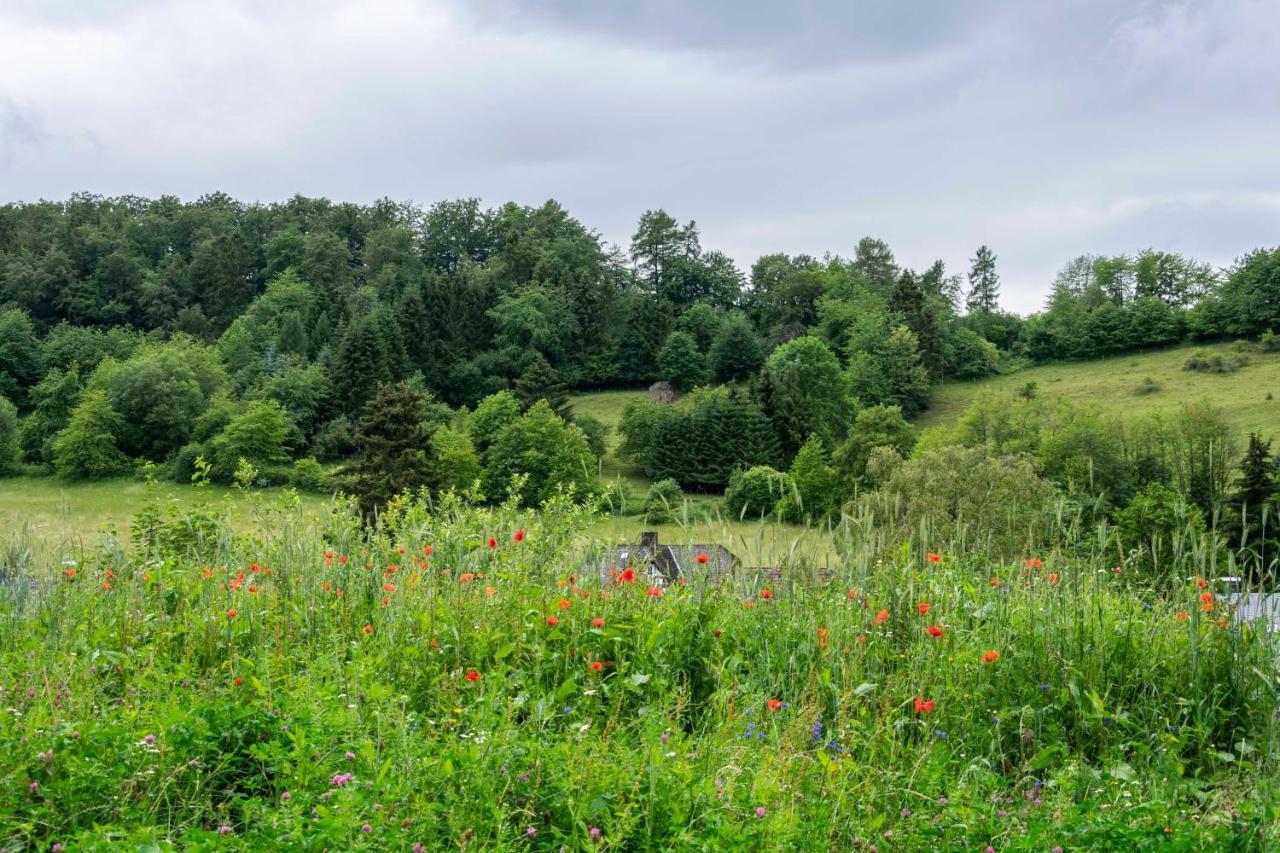 The Conscious Farmer Bed&Breakfast Sauerland Willingen  Exterior foto