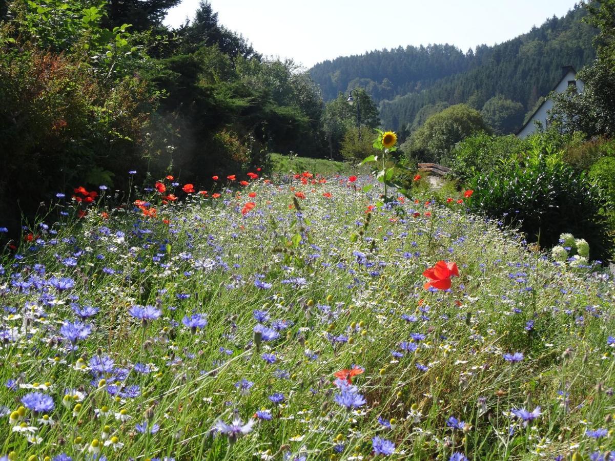 The Conscious Farmer Bed&Breakfast Sauerland Willingen  Exterior foto