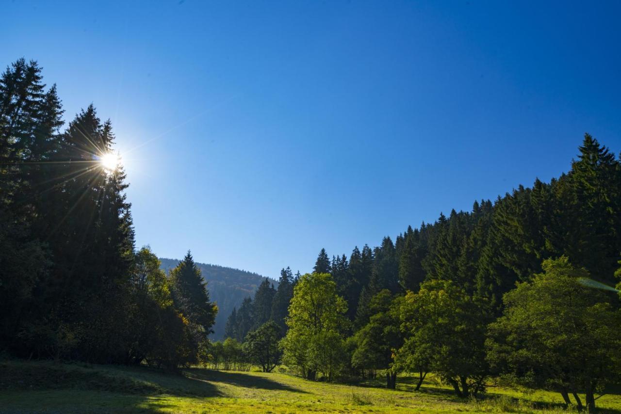 The Conscious Farmer Bed&Breakfast Sauerland Willingen  Exterior foto